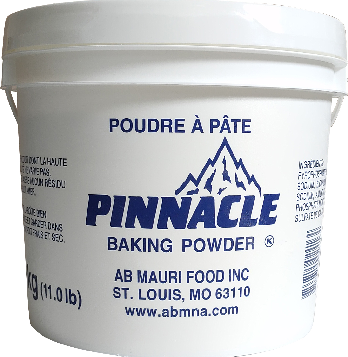 POUDRE À PÂTE PINNACLE 5 kg