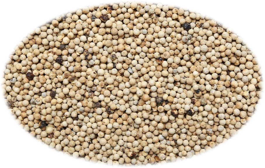 POIVRE BLANC ENTIER 5 lb