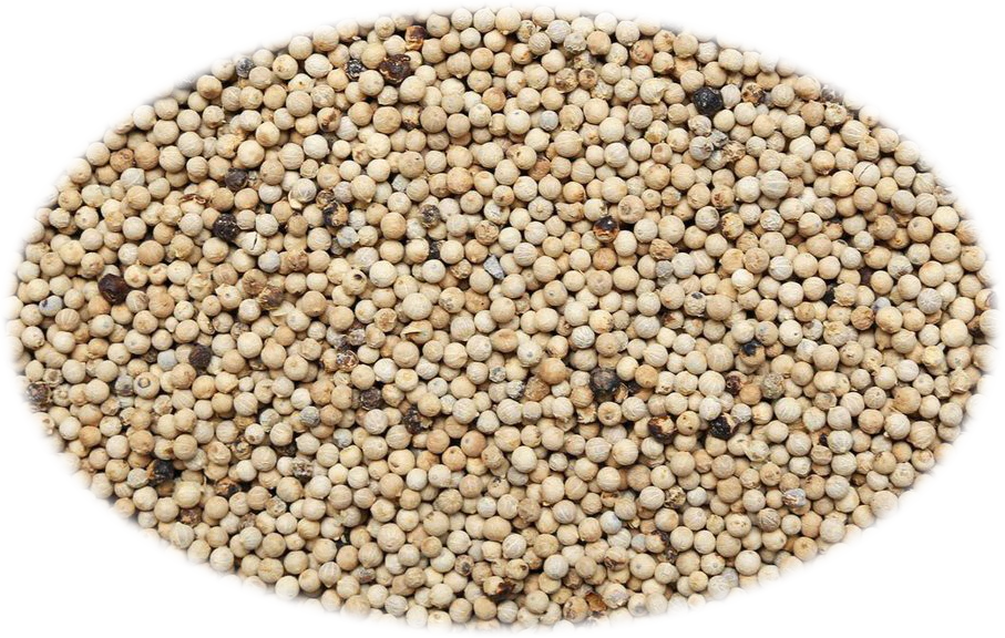 POIVRE BLANC ENTIER 5 lb