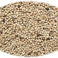 PEPPER WHITE WHOLE  5 lb