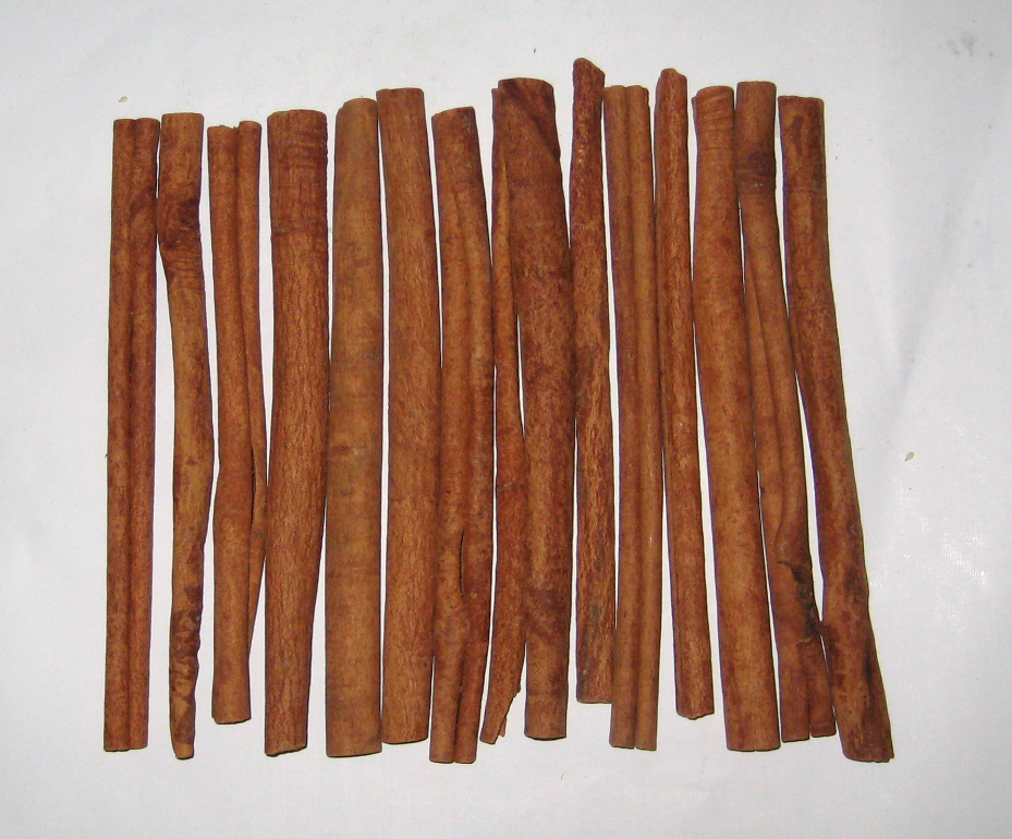 CANNELLE BÂTONS  1 lb
