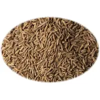 CUMIN EN GRAINES  1 lb