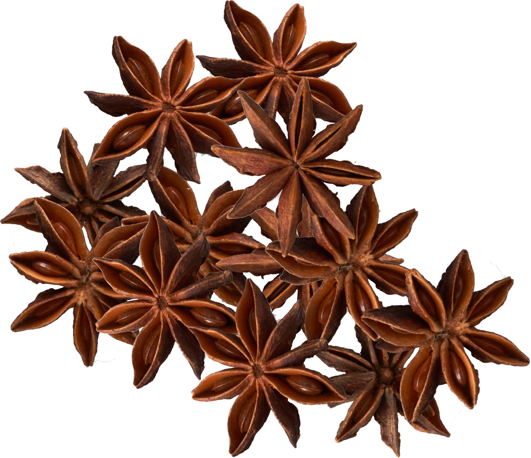 ANIS ÉTOILÉ CHINE 50/1 lb