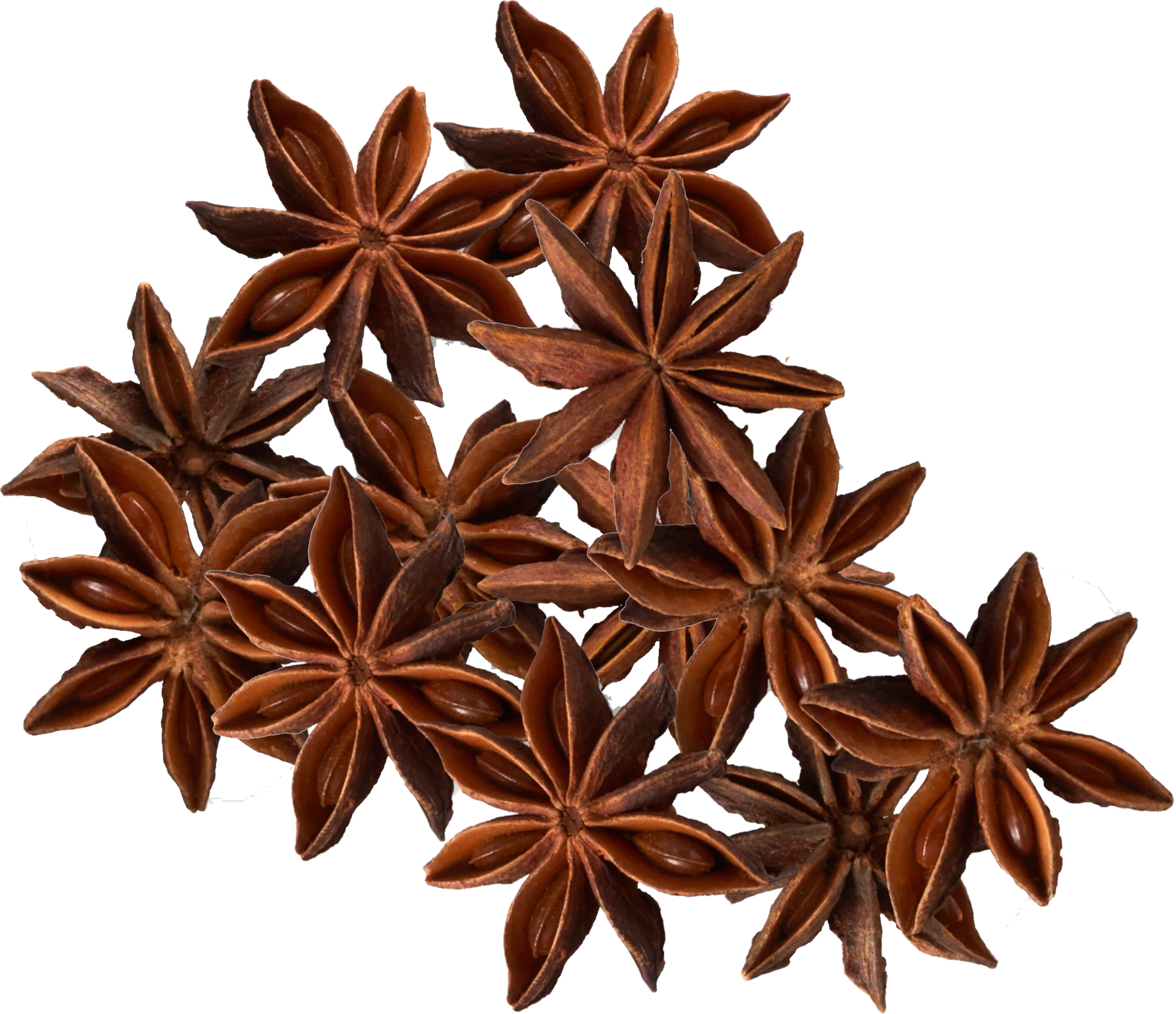 STAR ANISEEDS CHINA  50/1 lb