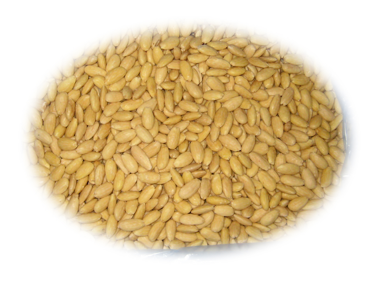 AMANDES ENTIÈRES 25 lb