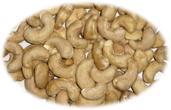 NOIX DE CAJOU   50 lb