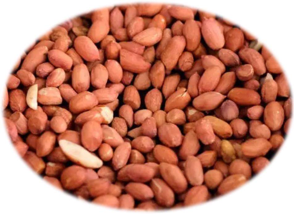 ARACHIDES AVEC PEAU PETITES  5 lb