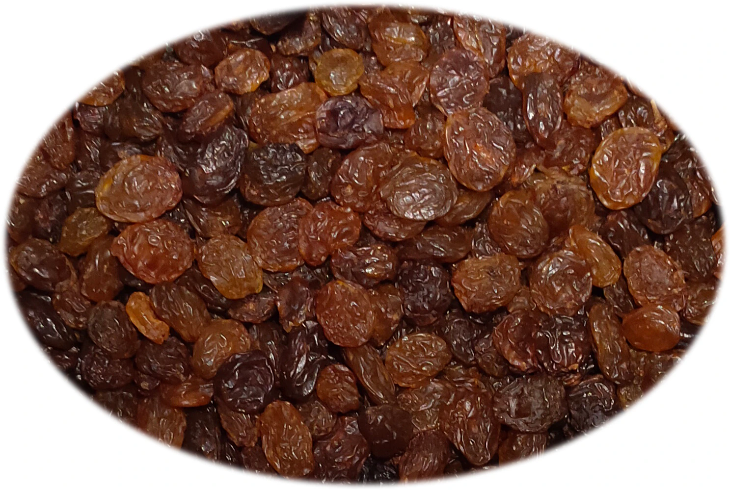 葡萄乾 12.5 kg
