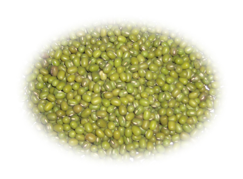 HARICOTS MUNGO 55 lb
