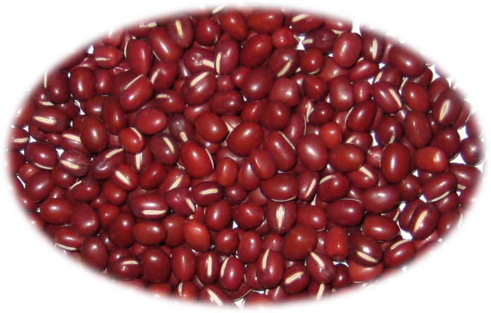 HARICOTS ROUGES 55 lb