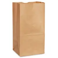 PAPER BAG #10 DOUBLE WALL  250 pcs