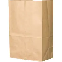 SAC EN PAPIER #20 DOUBLE PAROI  250 pcs