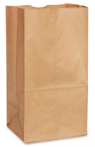 SAC EN PAPIER #25 DOUBLE PAROI 250 pcs