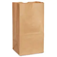 SAC EN PAPIER #25 DOUBLE PAROI  250 pcs