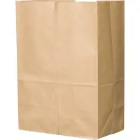 PAPER BAG CARRY ALL #17 12x7x17"  500 pcs
