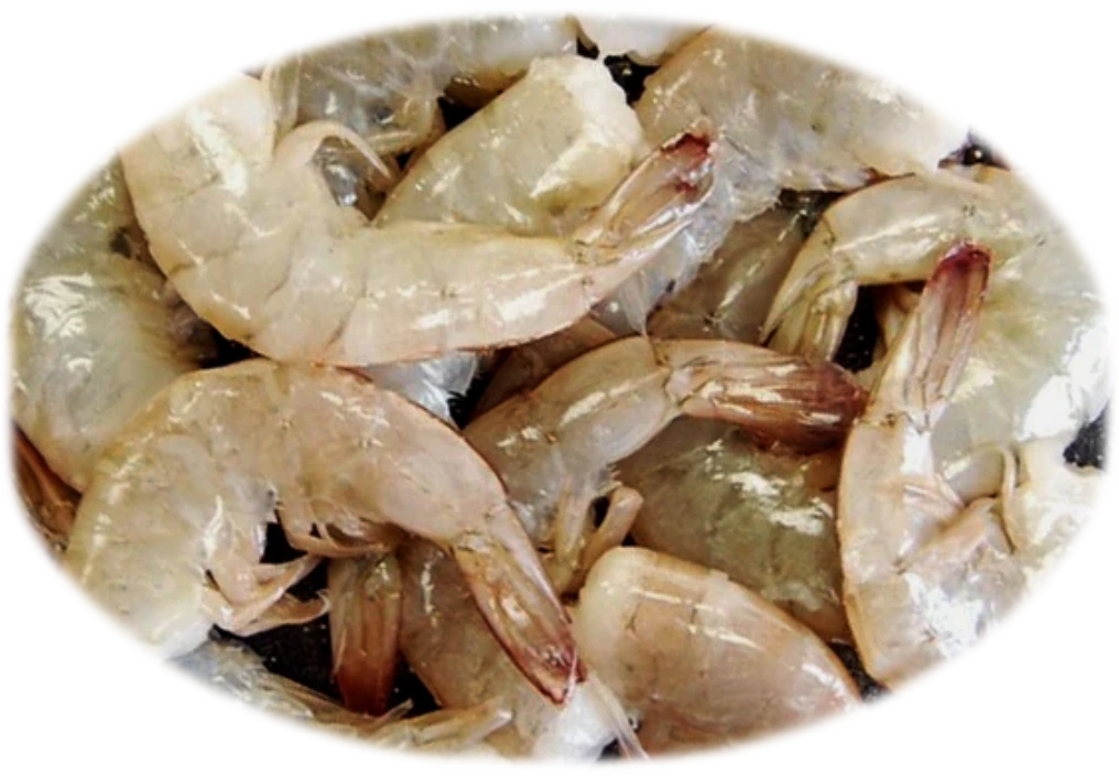 SHRIMPS SHELL ON 26-30 N.W. 100% 6/4 lb