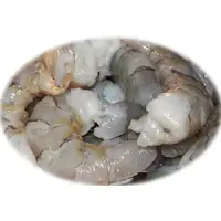 SHRIMPS PEELED 51-60   5/2 lb